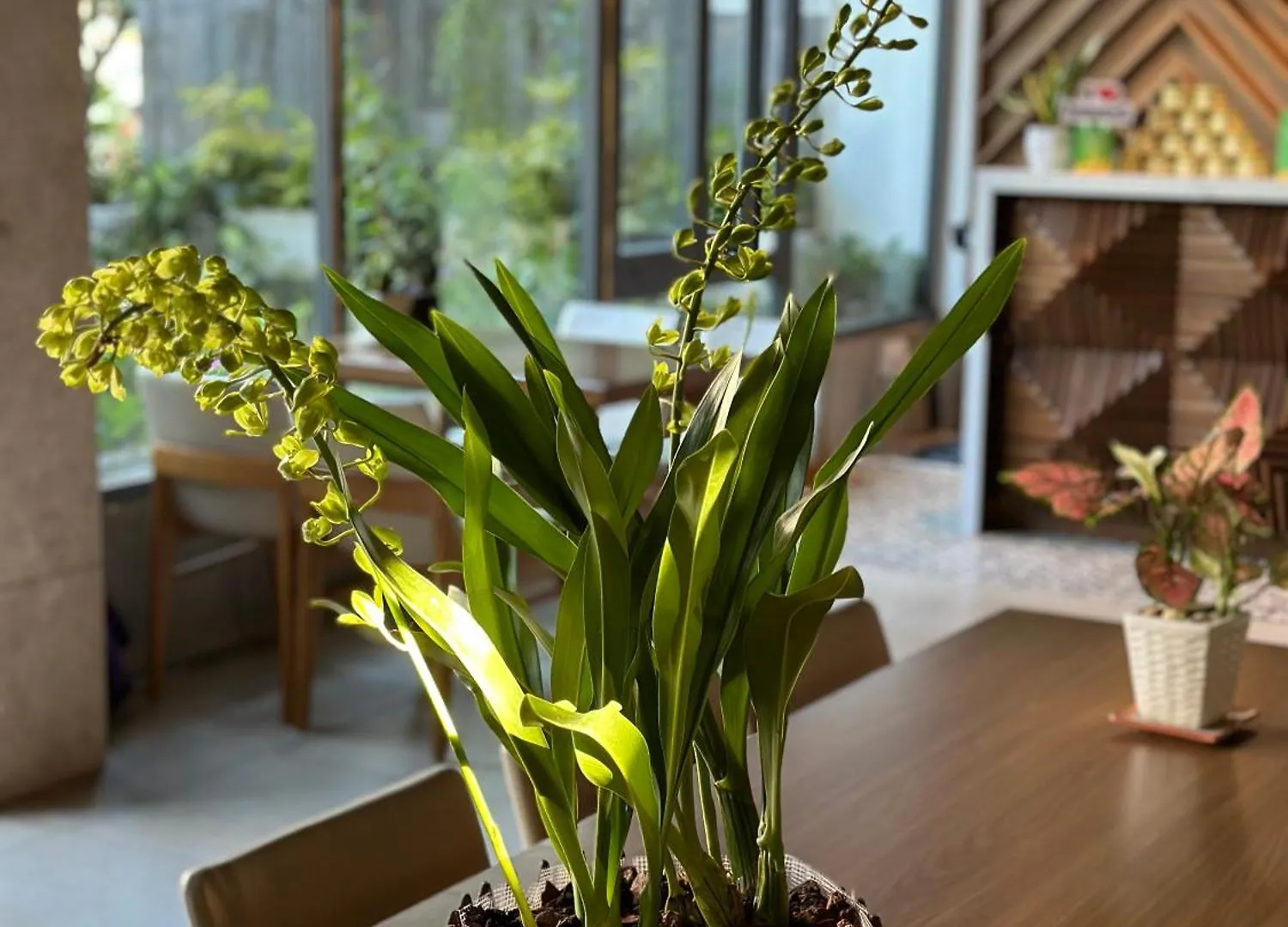 **  Hotel Ponte Boutique Đà Nẵng Vietnam